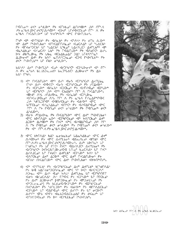 10675 CNC Annual Report 2000 NASKAPI - page 29